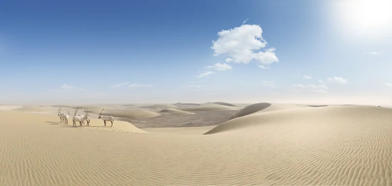 Qatar - Khung cảnh tuyệt đẹp